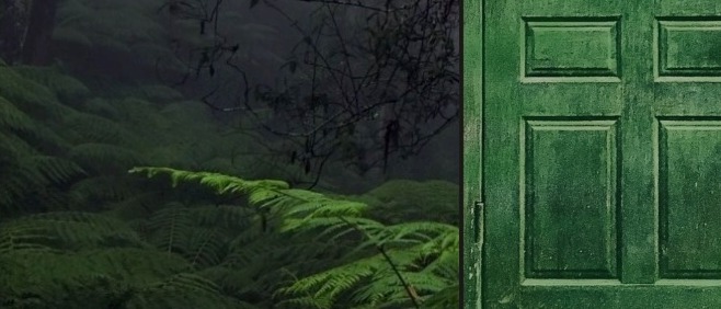 Image of La puerta verde